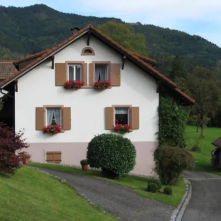 Irene Appartamento Todtnau