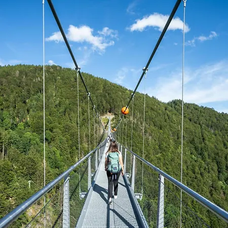 Appartamento Irene Todtnau